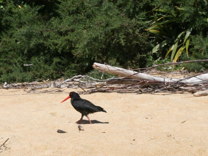 thumb_wanaka-queenstown-068_1024