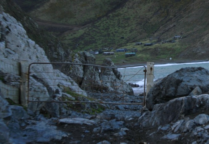 thumb_Wellington Weekend 031_1024