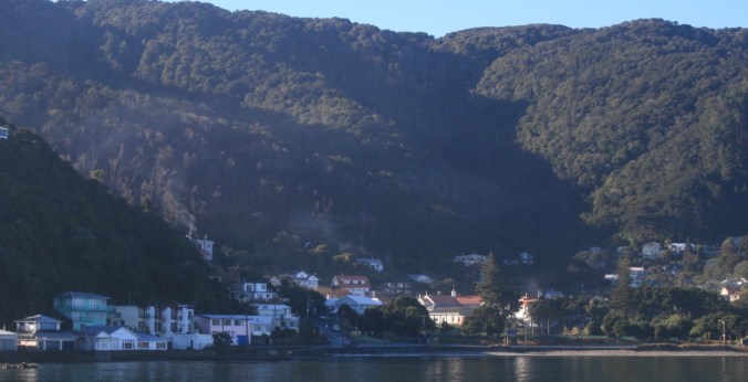 thumb_Wellington Weekend 107_1024